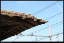 halle_plm_serves_05102009_20.JPG