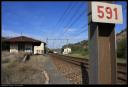 halle_plm_serves_05102009_24.JPG