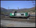 BB469195_cerbere_21082008.jpg